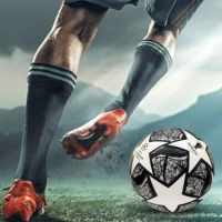 Premier League Highlights