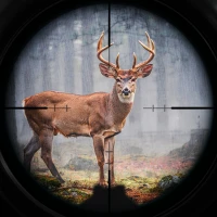 Sniper Hunting 3D